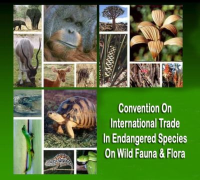 CONVENTION ON INTERNATIONAL TRADE IN ENDANGERED SPECIES