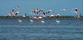 Odisha to conserve Chilika and Anusupa lakes