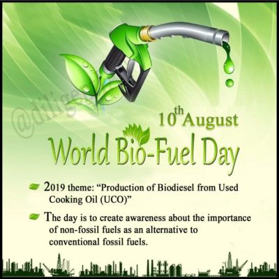biofuel essay