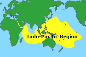 Indo Pacific region